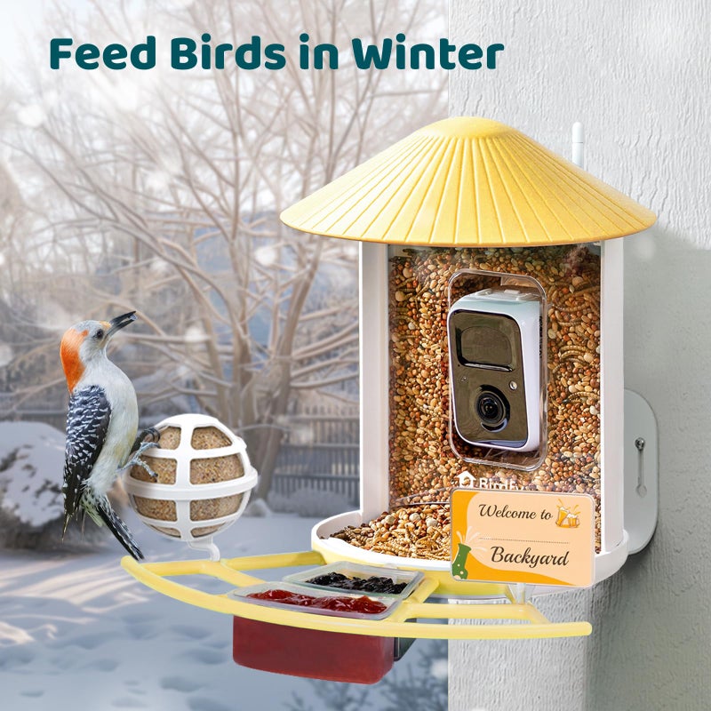 NETVUE by Birdfy Pro Perch - Wider Extension Perch to DIY Add-ons Including Suet Ball  Mini Hummingbird Feeder  Fruit Holder  Jelly Feeder and Welcome Card  Ideal for Bird Lover (Yellow) - Image 4